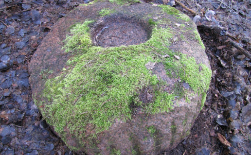 16_Pašvinio akmuo su dubeniu.jpg